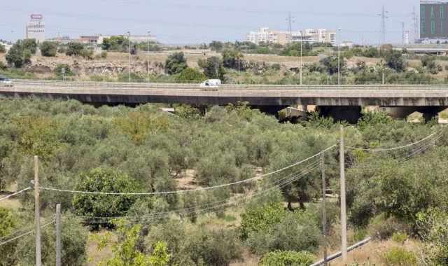 Natura, torri e chiese rupestri: alla scoperta di Lama Picone, il 